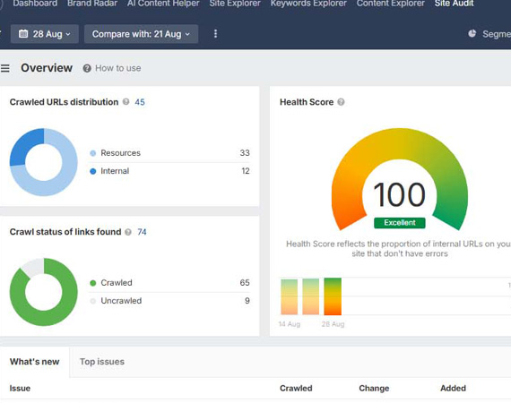 In-Depth Technical SEO Optimization and Audit Reports