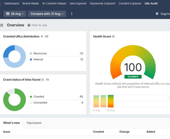 In-Depth Technical SEO Optimization and Audit Reports
